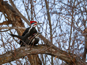 Spring is in the air...