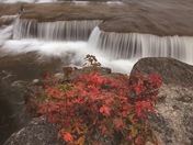 Foggy fall morning 