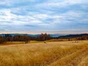 Grasslands near Stump Lake