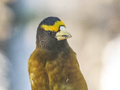 Quite the Characters