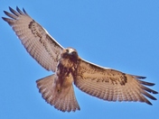 Flying straight at me!