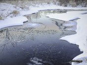 Spring is Really Here!