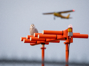  Air Traffic Controller