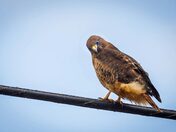 I Can't Believe My Eyes