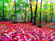 fall
