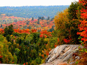 fall on Elliot Lake highlands 