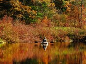 The Kayak