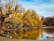 Spring is around the corner!