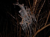 ice rain