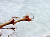 ice rain