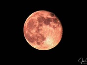 Super Full Moon 