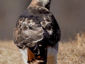 Excuse me... can I help you?