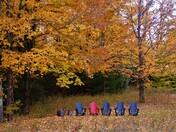 Muskoka chairs in autumn