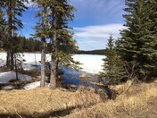 Spring Comes to the Cypress Hills