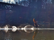 Running on water.