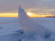 Ice shark