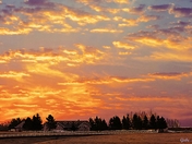 Painted Sky