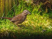 Moving Out of the Light