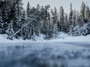 Different Point of View