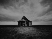 Stood Out Beyond the Rest