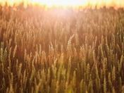 Saskatchewan in One Photo