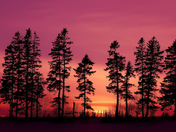 sunset silhouette