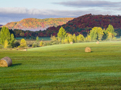 Autumn morning 
