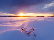 Wind and snow 
