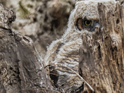 Ever feel like you’re being watched?