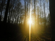 INCREDIBLE Rays of the Sun