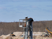 Return of the Osprey