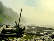 Morning Fog, Long Beach, BC