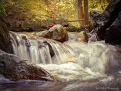 Up close with the falls