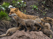 You’re the best mom