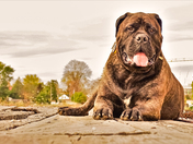 My best Friend Floyd