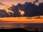 Love is in the air....