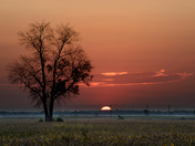 A new day