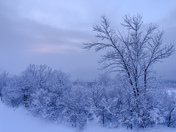 a winter morning 