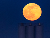 Harvest Moon Rising 