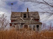 The beauty in decay