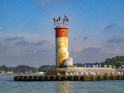 Busy morning at the lighthouse