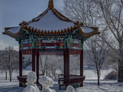 A Snow Family Picnic