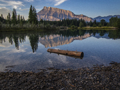 Reflections in a Quiet Pond