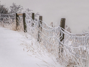 Snow is Nature's Paint