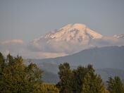 Mt. Baker