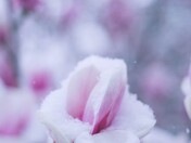 April snow