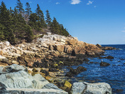 Rocky Shores