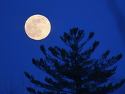 Pink moon, blue sky