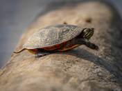 Someone pass me the bug spray!