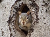 Welcome to my "Hole Sweet Home"